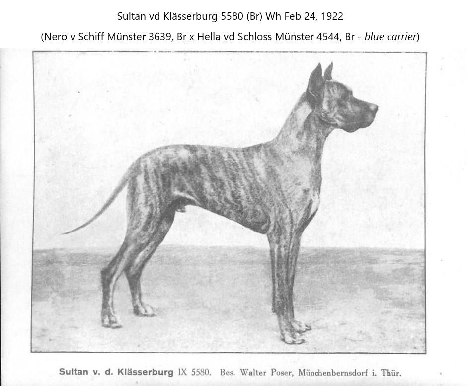 Sultan vd Klasserburg